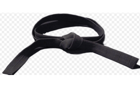 Ceinture Noire - Dan - FFK = 9